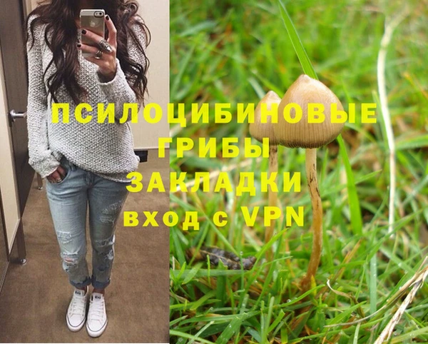 apvp Аркадак